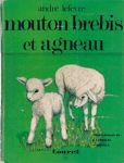 Moutons brebis et agneau