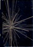 Le Dernier Jour du Vieux Monde - La Guerre 1939-1945