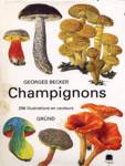 Champignons