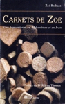 Carnets de Zo�