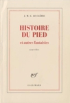 Histoire du pied et autres fantaisies