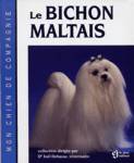 Le bichon maltais