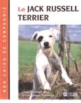 Le jack russell terrier