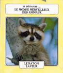 Le raton laveur - Le monde merveilleux des animaux