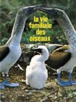 La vie familiale des oiseaux