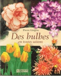 Des bulbes en toutes saisons Des bulbes en toutes saisons