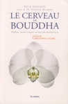 Le cerveau de Bouddha