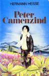 Peter Camenzind