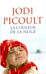 La couleur de la neige