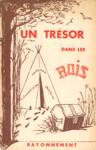 Un trsor dans les bois